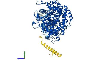 AlphaFold protein structure predicition of Mouse Recombinant Rrm1 Protein, UniprotID P07742