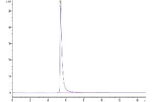 The purity of Biotinylated SARS Spike S1 is greater than 95 % as determined by SEC-HPLC.