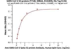 Immobilized SARS-CoV-2 S2 protein (T716I, S982A, D1118H), His Tag (ABIN6992374) at 1 μg/mL (100 μL/well) can bind A-CoV-2 Spike S2 protein Antibody, Human IgG4 (S2N-S86) with a linear range of 0.