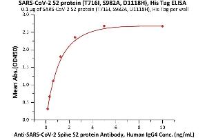 Immobilized SARS-CoV-2 S2 protein (T716I, S982A, D1118H), His Tag (ABIN6992374) at 1 μg/mL (100 μL/well) can bind A-CoV-2 Spike S2 protein Antibody, Human IgG4 (S2N-S86) with a linear range of 0. (SARS-CoV-2 Spike S2 Protein (B.1.1.7 - alpha) (His tag))