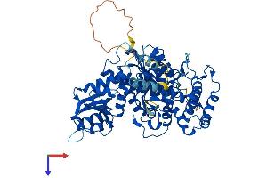 AlphaFold protein structure predicition of Mouse Recombinant Stxbp2 Protein, UniprotID Q64324