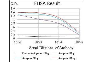 anti-One Cut Homeobox 3 (ONECUT3) (AA 350-455) antibody