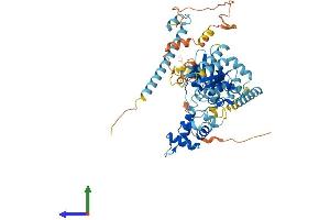AlphaFold protein structure predicition of Human Recombinant GNL3L Protein, UniprotID Q9NVN8