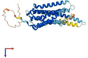 AlphaFold protein structure predicition of Human Recombinant GPR3 Protein, UniprotID P46089