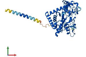 AlphaFold protein structure predicition of Human Recombinant GAL3ST2 Protein, UniprotID Q9H3Q3