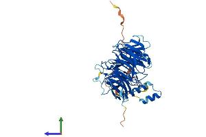 AlphaFold protein structure predicition of Human Recombinant DDB2 Protein, UniprotID Q92466