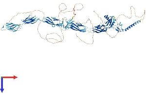 AlphaFold protein structure predicition of Human Recombinant KIAA0319L Protein, UniprotID Q8IZA0