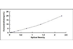 Typical standard curve (CD19 Kit ELISA)