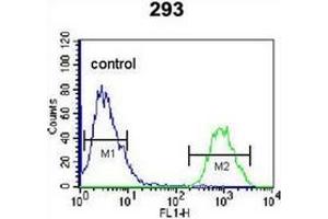 Flow cytometric analysis of 293 cells using Homeodomain-only protein / HOP Antibody  (right histogram) compared to a negative control cell (left histogram).