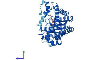 AlphaFold protein structure predicition of Human Recombinant ADAL Protein, UniprotID Q6DHV7