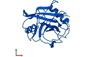 AlphaFold protein structure predicition of Human Recombinant PPIAL4A Protein, UniprotID Q9Y536