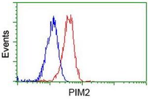 Image no. 7 for anti-Proto-Oncogene Pim-2 (Serine Threonine Kinase) (PIM2) antibody (ABIN1500220)