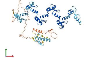 AlphaFold protein structure predicition of Human Recombinant ZNF565 Protein, UniprotID Q8N9K5
