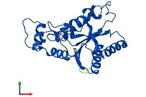 AlphaFold protein structure predicition of Human Recombinant NQO2 Protein, UniprotID P16083