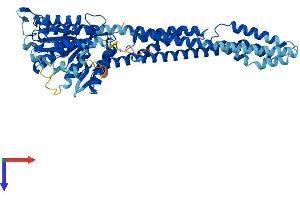 AlphaFold protein structure predicition of Mouse Recombinant Gbp1 Protein, UniprotID Q01514