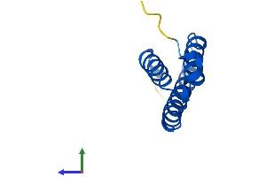 AlphaFold protein structure predicition of Mouse Recombinant Lyrm4 Protein, UniprotID Q8K215