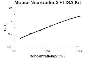 Mouse Neuropilin-2 PicoKine ELISA Kit standard curve (NRP2 Kit ELISA)