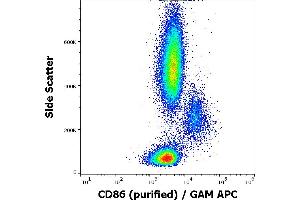 Flow cytometry surface staining pattern of human peripheral blood stained using anti-human CD86 (BU63) purified antibody (concentration in sample 3 μg/mL) GAM APC. (CD86 anticorps)