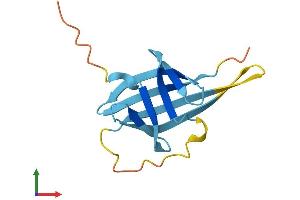 AlphaFold protein structure predicition of Mouse Recombinant Tcl1b5 Protein, UniprotID P56845