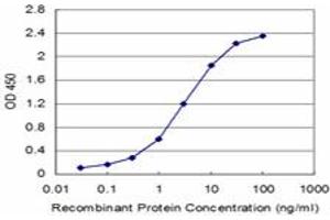 Detection limit for recombinant GST tagged FXN is approximately 0. (Frataxin anticorps  (AA 91-200))