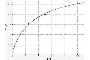 Cross Linked N-Telopeptide of Type I Collagen (NTX-I) ELISA Kit
