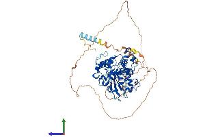 AlphaFold protein structure predicition of Human Recombinant ST6GALNAC1 Protein, UniprotID Q9NSC7