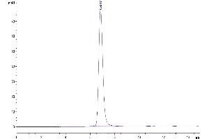 Size-exclusion chromatography-High Pressure Liquid Chromatography (SEC-HPLC) image for Cytotoxic T-Lymphocyte-Associated Protein 4 (CTLA4) (AA 36-161) protein (Fc Tag) (ABIN7274436)