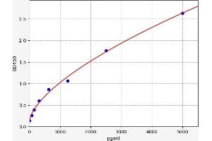 Typical standard curve (ABCC5 Kit ELISA)