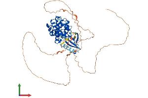 AlphaFold protein structure predicition of Mouse Recombinant Cdkl2 Protein, UniprotID Q9QUK0