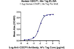 Immobilized Human CDCP1 at 2 μg/mL (100 μL/Well).