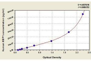 Typical standard curve (XBP1 Kit ELISA)