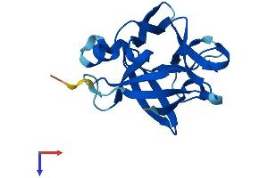 AlphaFold protein structure predicition of Human Recombinant IL1F10 Protein, UniprotID Q8WWZ1