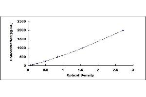 Typical standard curve (WNT11 Kit ELISA)