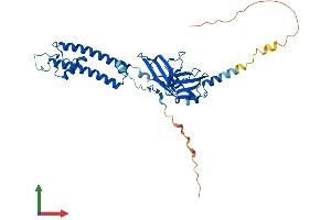 AlphaFold protein structure predicition of Human Recombinant KCNJ9 Protein, UniprotID Q92806