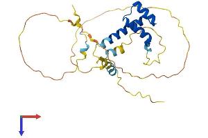 AlphaFold protein structure predicition of Mouse Recombinant Emx1 Protein, UniprotID Q04742