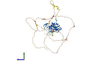 AlphaFold protein structure predicition of Mouse Recombinant Tbx21 Protein, UniprotID Q9JKD8