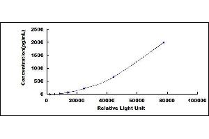 ELISA image for Nerve Growth Factor (NGF) CLIA Kit (ABIN491810)