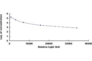 ELISA image for Estriol CLIA Kit (ABIN4947540)