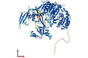 AlphaFold protein structure predicition of Human Recombinant PIWIL4 Protein, UniprotID Q7Z3Z4