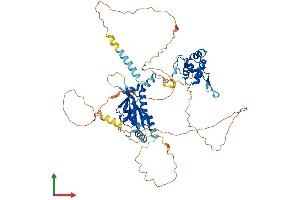 AlphaFold protein structure predicition of Mouse Recombinant Eme1 Protein, UniprotID Q8BJW7