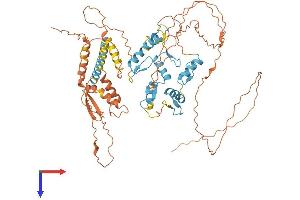 AlphaFold protein structure predicition of Human Recombinant ZNF131 Protein, UniprotID P52739