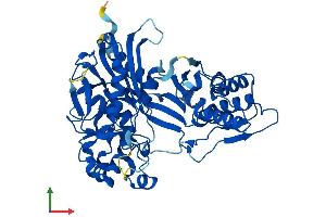 AlphaFold protein structure predicition of Human Recombinant SHPK Protein, UniprotID Q9UHJ6
