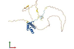 AlphaFold protein structure predicition of Human Recombinant HOXA6 Protein, UniprotID P31267