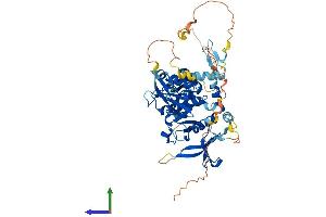 AlphaFold protein structure predicition of Mouse Recombinant Grb7 Protein, UniprotID Q03160