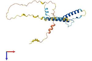 AlphaFold protein structure predicition of Mouse Recombinant Hand2 Protein, UniprotID Q61039