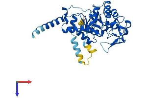 AlphaFold protein structure predicition of Mouse Recombinant Gdpd3 Protein, UniprotID Q99LY2