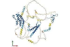 AlphaFold protein structure predicition of Mouse Recombinant Brd7 Protein, UniprotID O88665