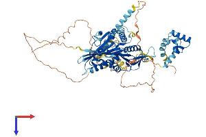 AlphaFold protein structure predicition of Human Recombinant KIF22 Protein, UniprotID Q14807