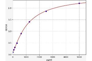 Typical standard curve (XCR1 Kit ELISA)