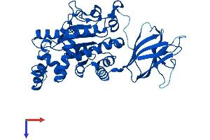 AlphaFold protein structure predicition of Human Recombinant SEC14L4 Protein, UniprotID Q9UDX3